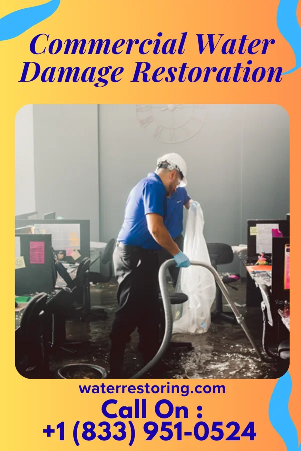 Commercial Water Damage Restoration in Mokena, IL