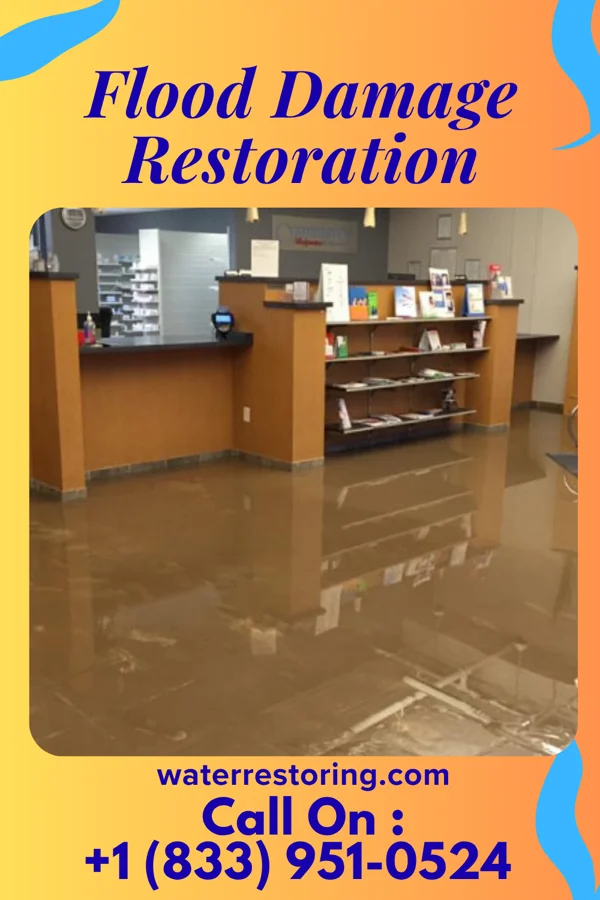 Flood Damage Restoration in Mokena, IL