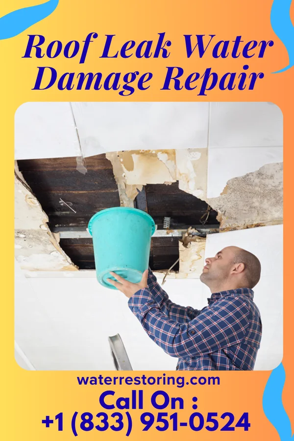 Roof Leak Water Damage Repair in Mokena, IL